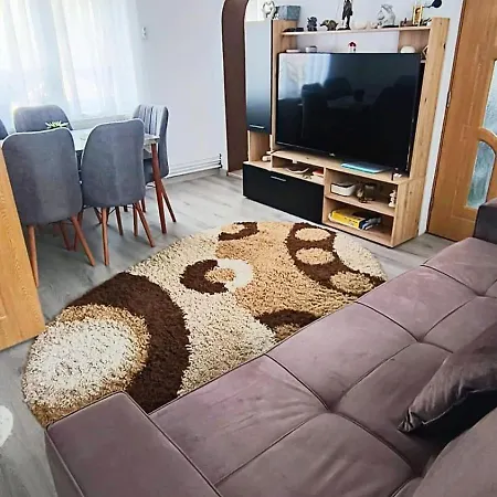 Casa Bianchi Holiday home Vatra Dornei